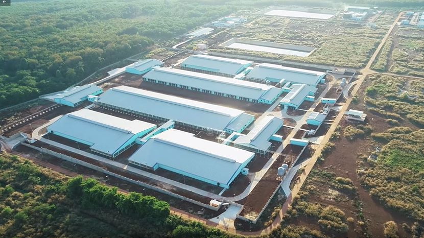 Koastal Eco Group trúng thầu gói Hệ thống xử lý nước thải trang trại chăn nuôi heo Đồng Phú – Công suất: 48.000 con/năm