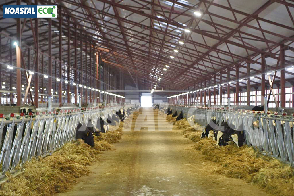 Tiếp tục trúng thầu gói Hệ thống xử lý nước thải trang trại chăn nuôi bò sữa cho tập đoàn TH True Milk tại Thanh Hóa – Công suất: 5.000 con