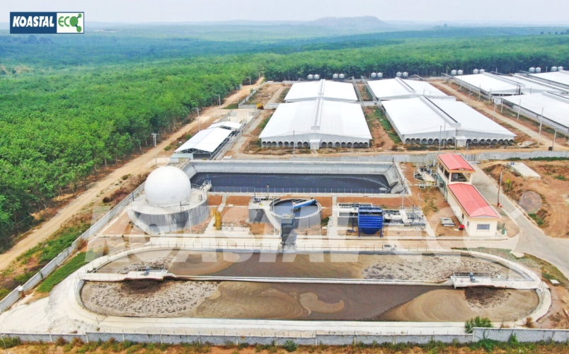 New Hope Binh Phuoc 农场的废水处理系统 – 处理能力：48,000 头/年