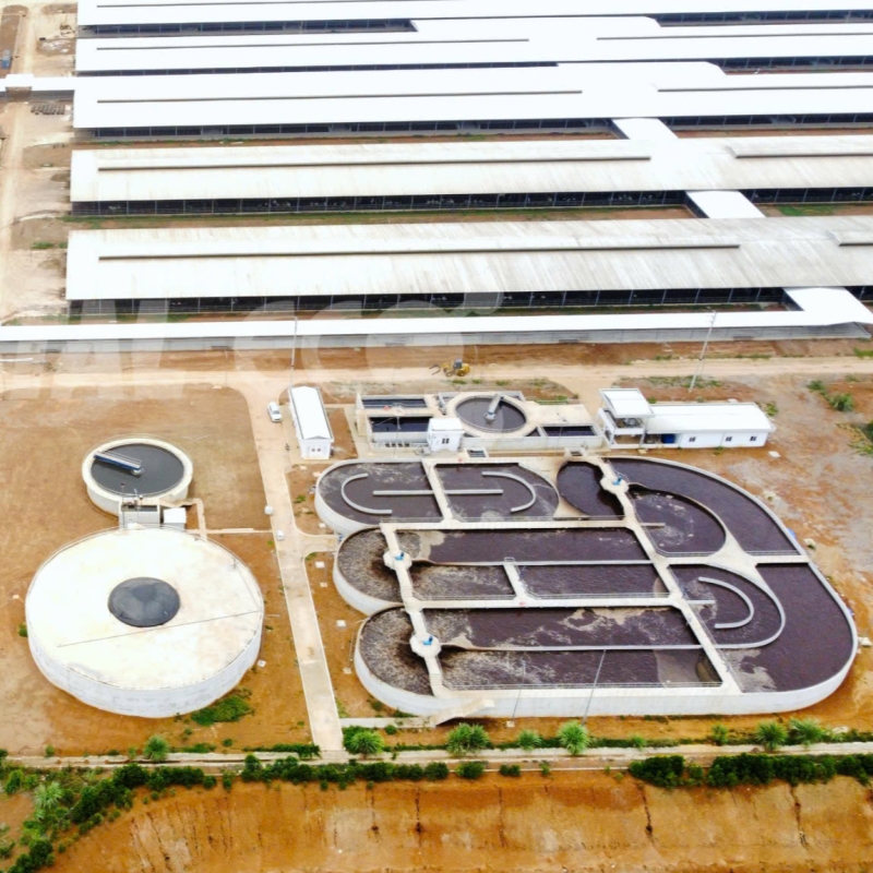 位于Thanh Hoa TH True Milk 集团奶牛场废水处理系统 – 处理能力：5,000 头奶牛